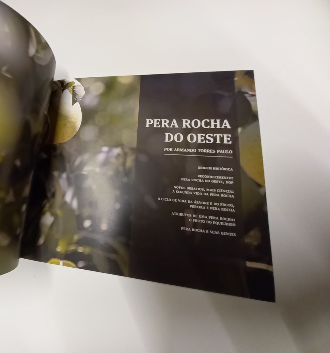 Pêra Rocha do Oeste Quintas e Produção