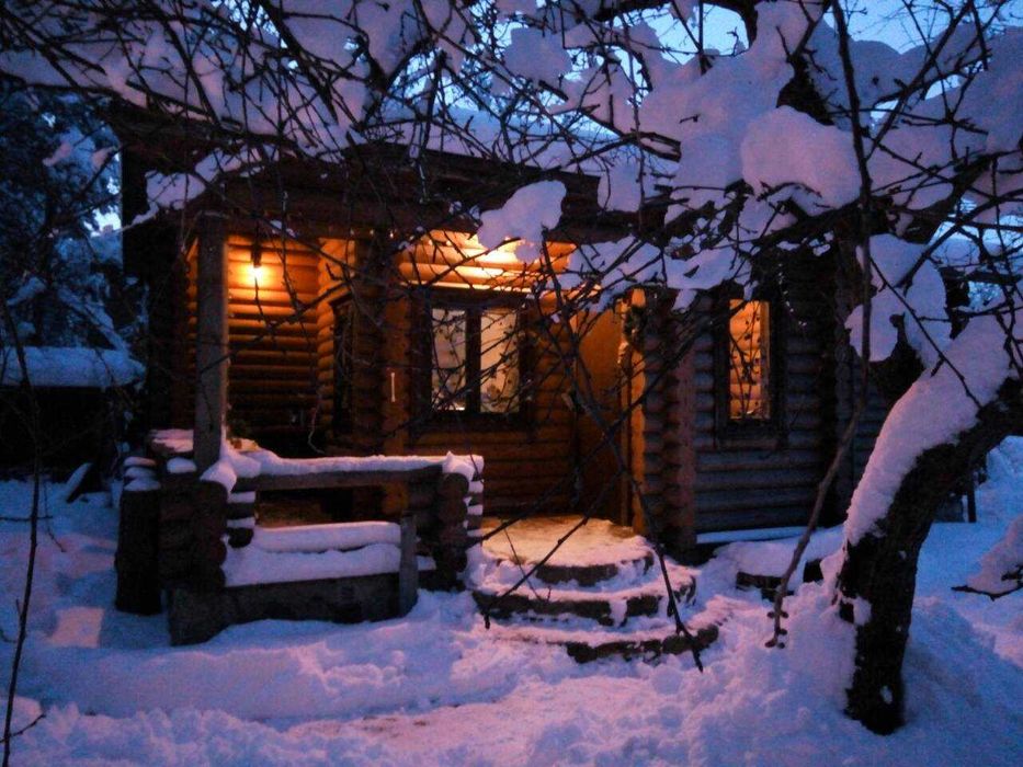 Здам на березі Дніпра два зруби з сауною у лісі.
