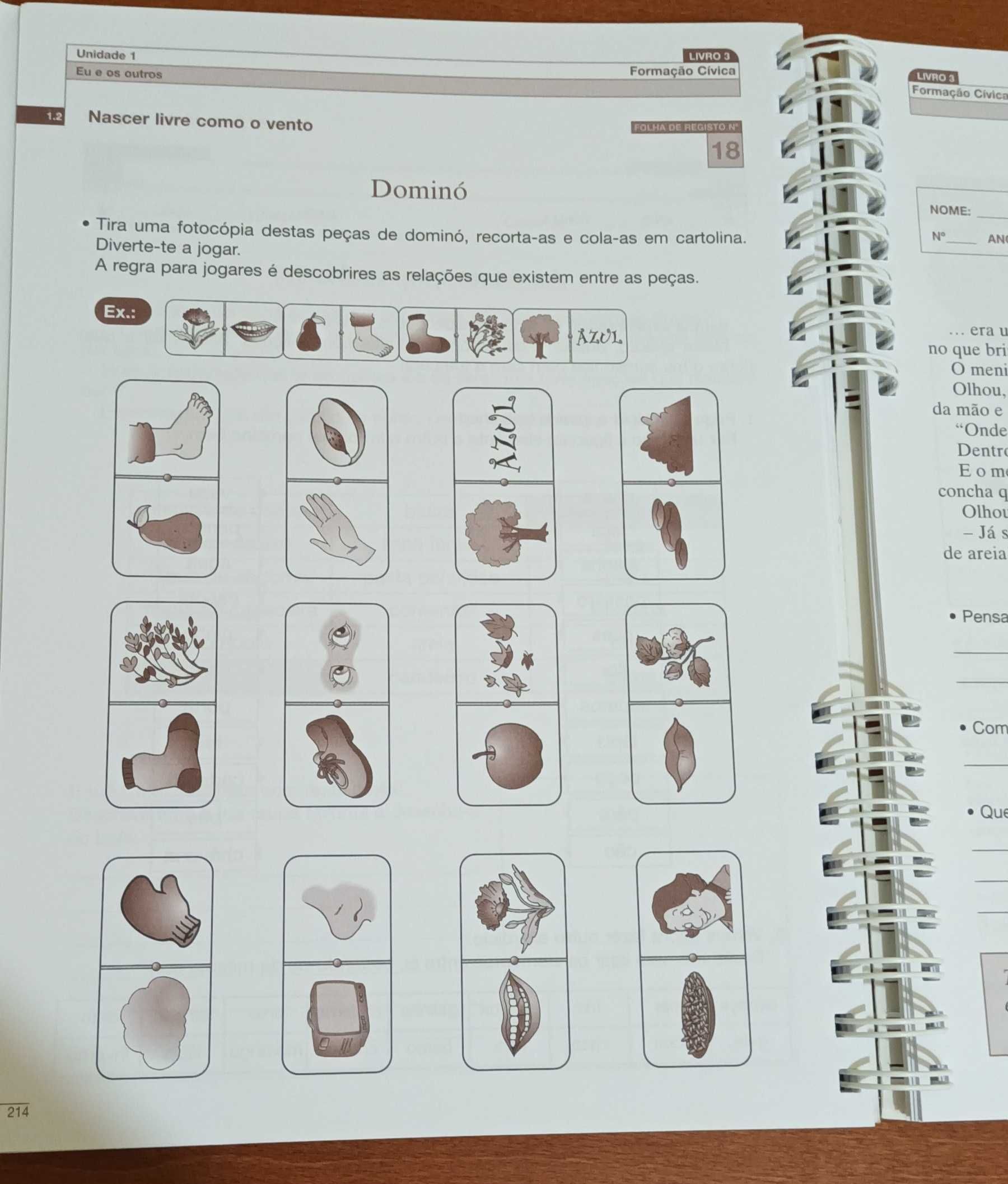 Práticas Pedagógicas 1.° Ciclo - Livro