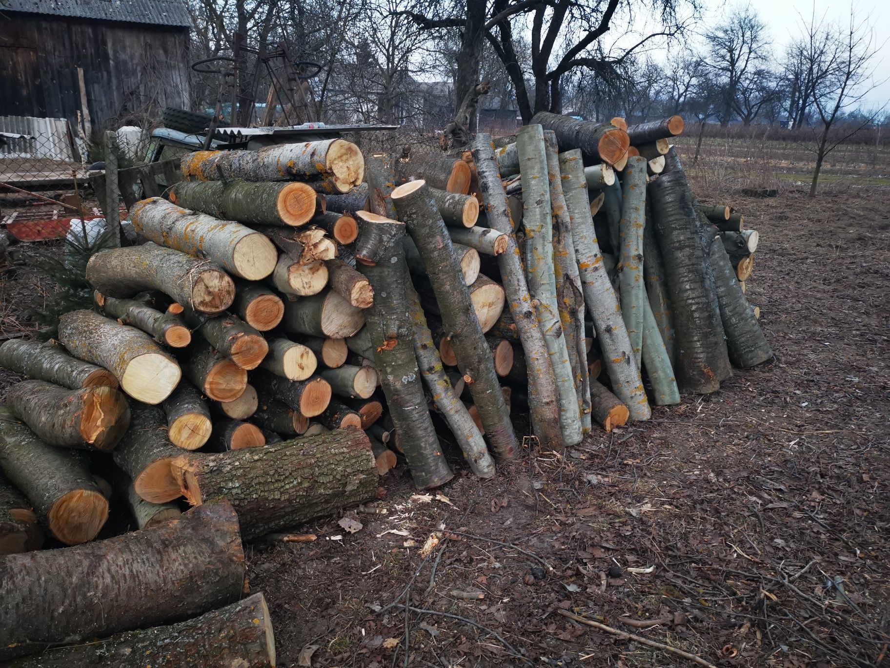 Drewno do wędzarni-opałowe jabłoń-czereśnia-osika-sosna