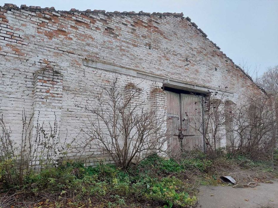 Будівлі під склади чи гаражі м Яготин Київська область