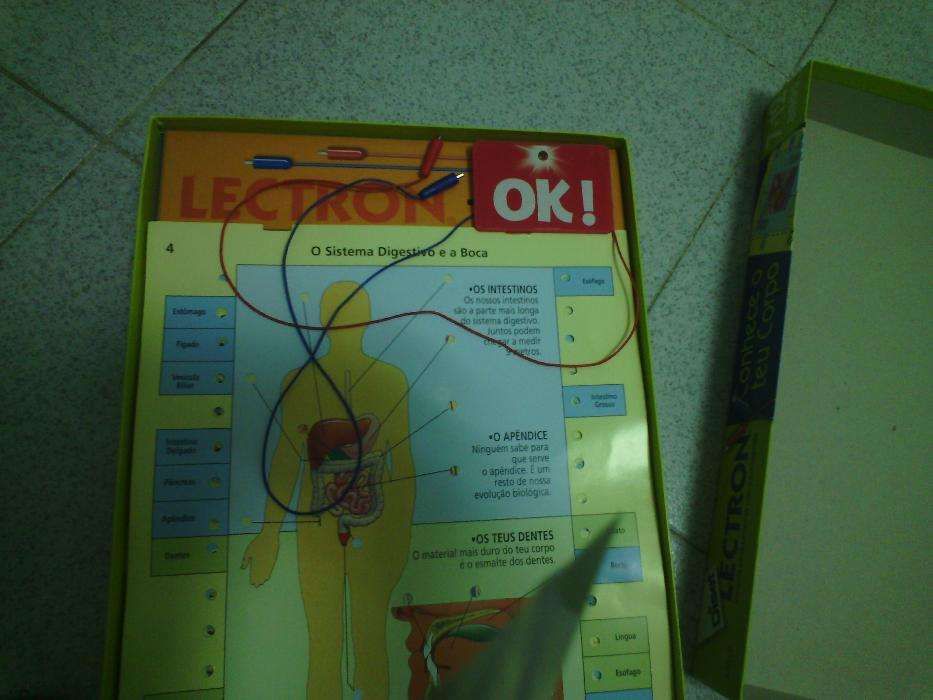 Jogo didatico Conhece o teu corpo. Com indicação da resposta correta.