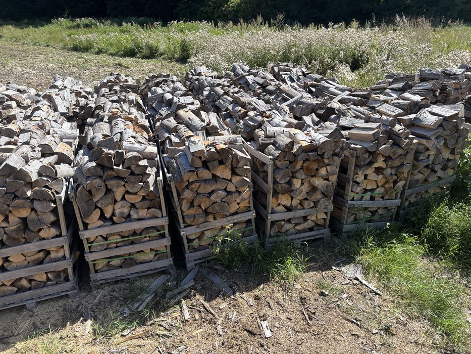 Drewno opałowe/kominkowe Suche drewno buk/grab/dab/brzoza/akacja/sosna