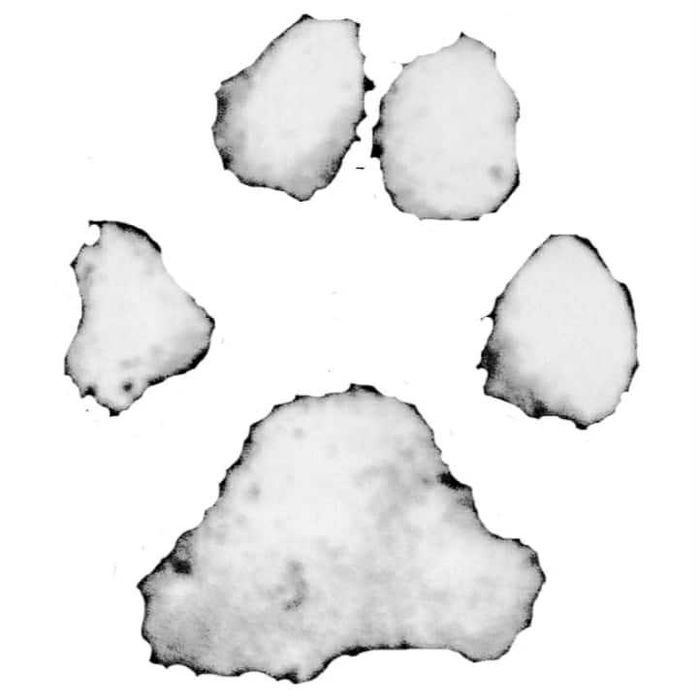 Terapia behawioralna