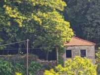 Quintinha no coração de Novelido - Sever do Vouga