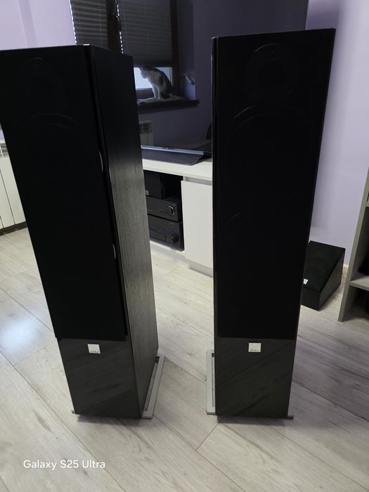 Kolumny Dali Zensor 7