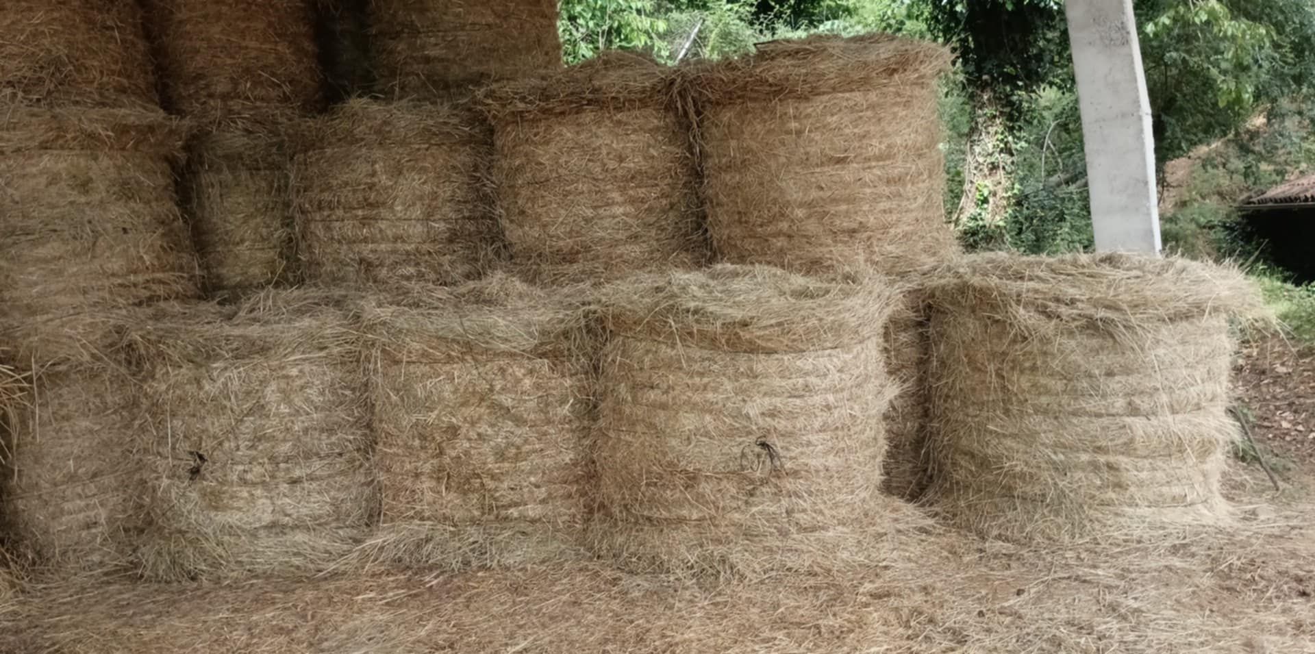 Vendo feno de lameiros tradicionais, rolos 1.20m
