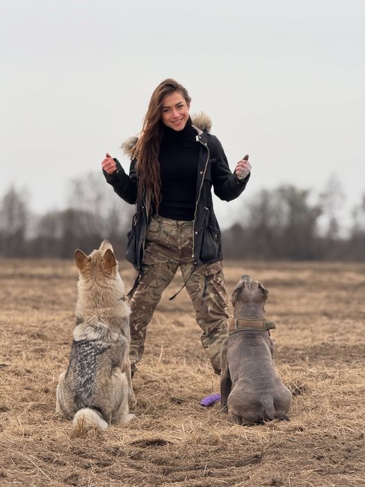 Перетримка та дресура  собак