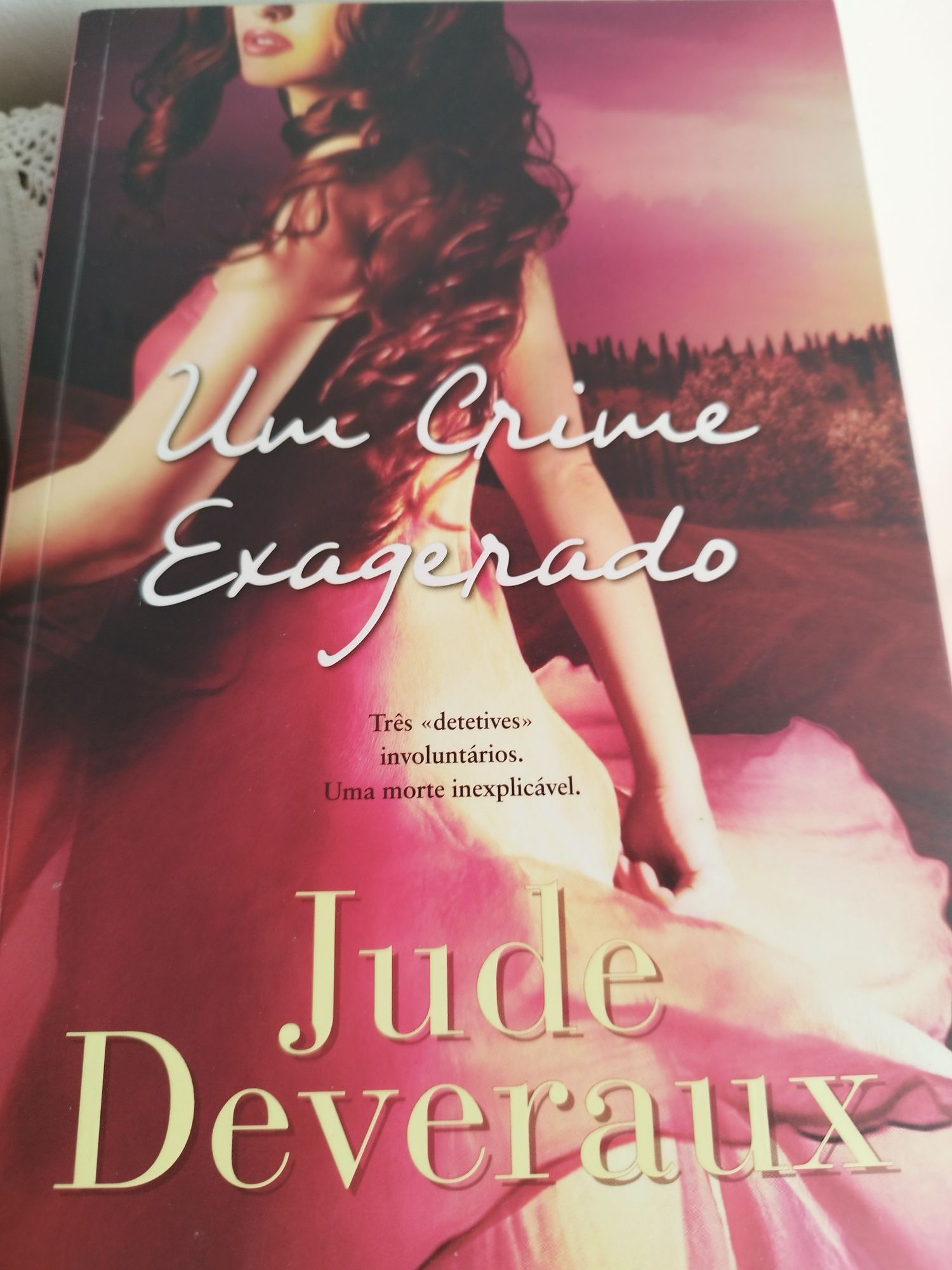 Um crime exagerado, Jude Devereux