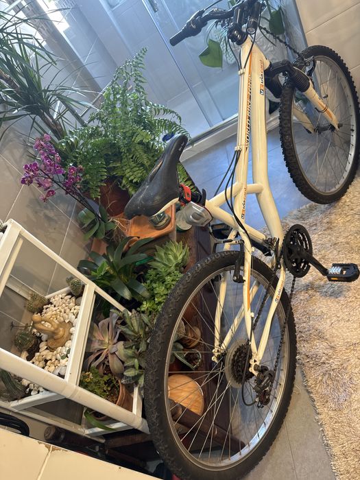 Bicicleta completa e muito boa!