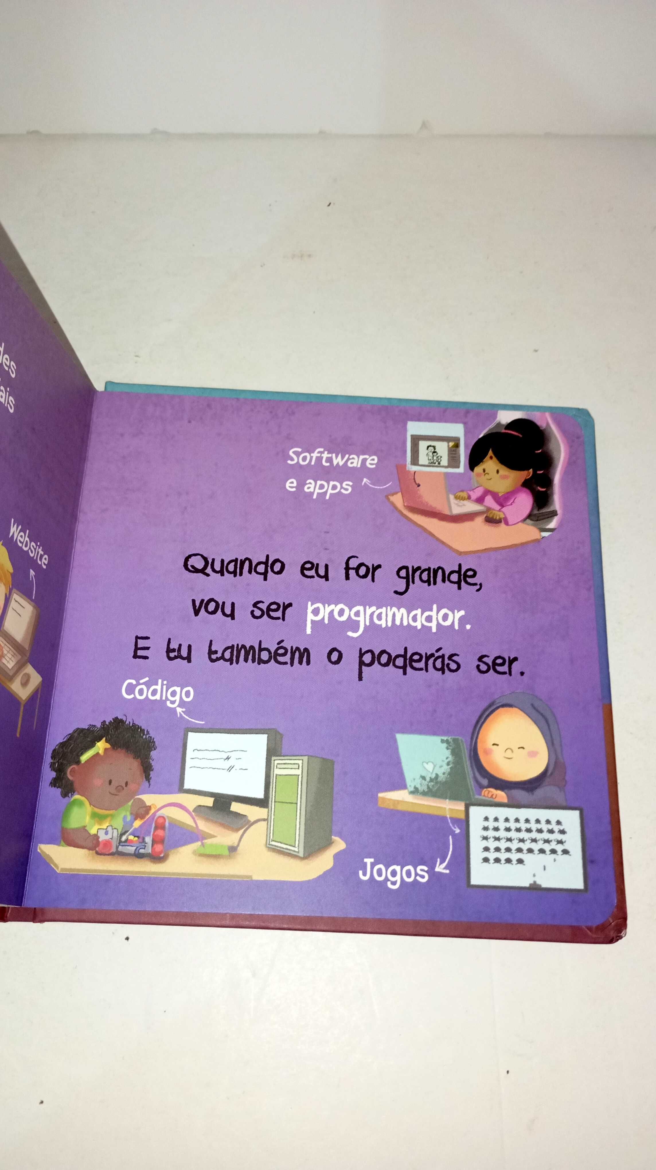 Quando eu for Grande: Programador