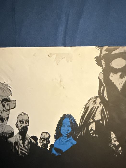 the walking dead book two