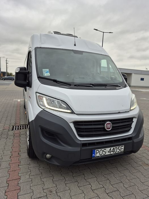 Fiat Ducato chłodnia/mroźnia + grzanie. Bez adblue