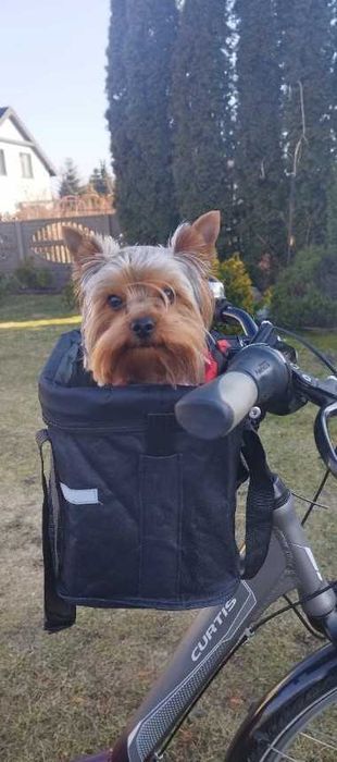 Kosz koszyk rowerowy transporter do psa kota na rower duży pojemny