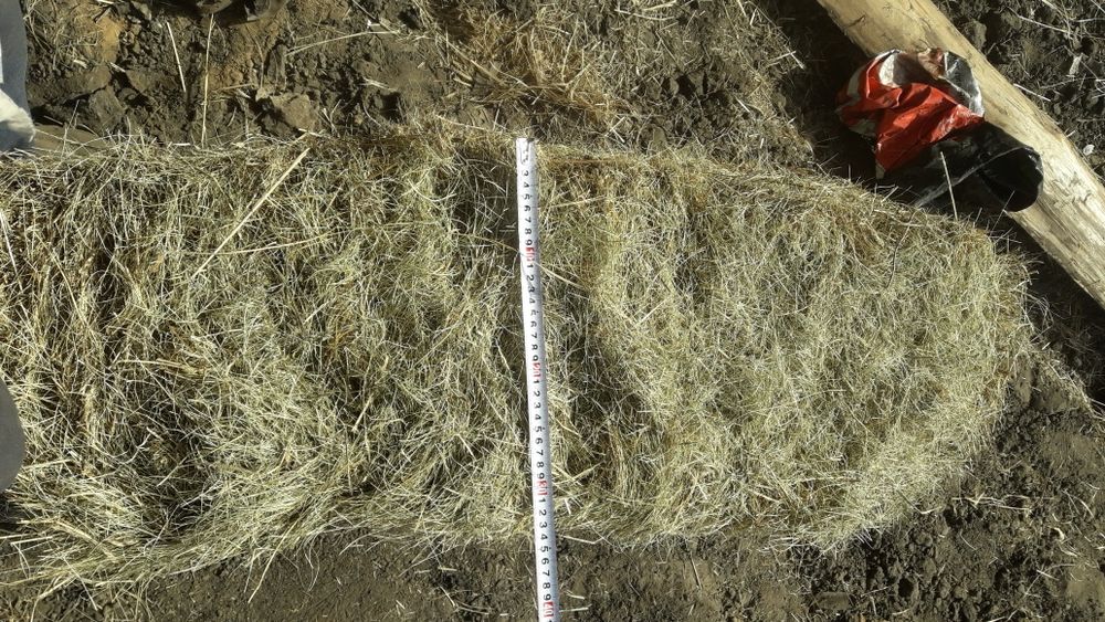 Продам сіно в тюках свіжескошене