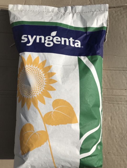 Насіння соняшника  сінгента