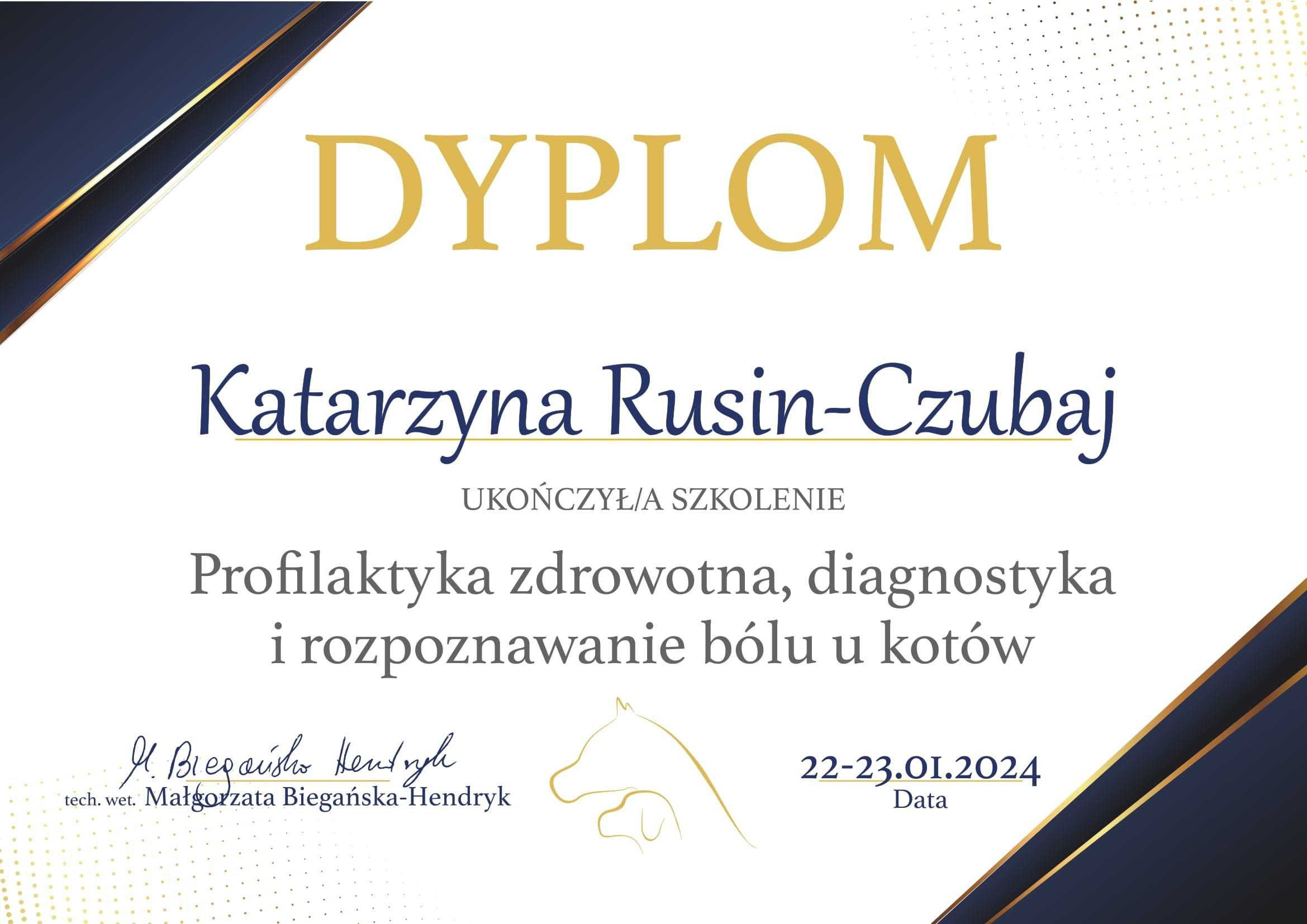 Koci behawiorysta dietetyk behawioryzm kot Gliwice Śląsk Online