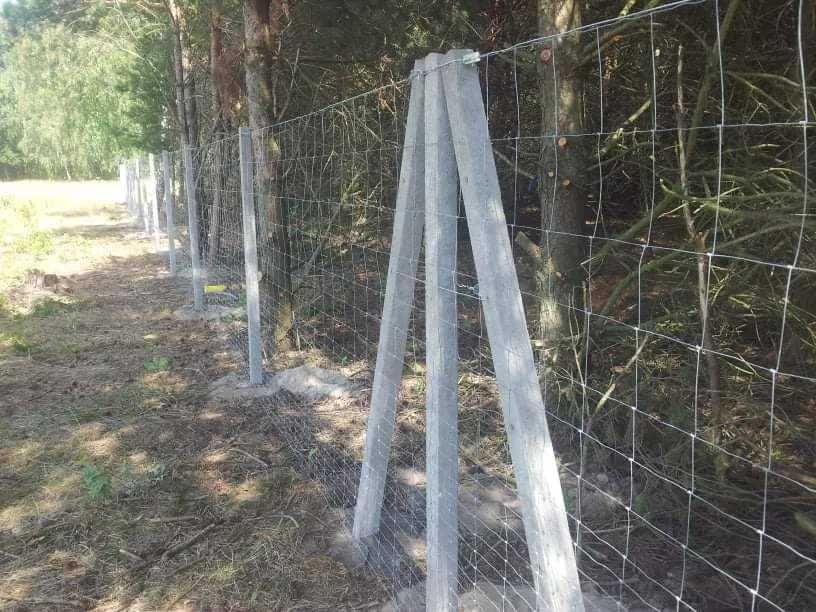 Słupki Graniczne/Słupki Geodezyjnej/Słupek betonowy/Geodezja