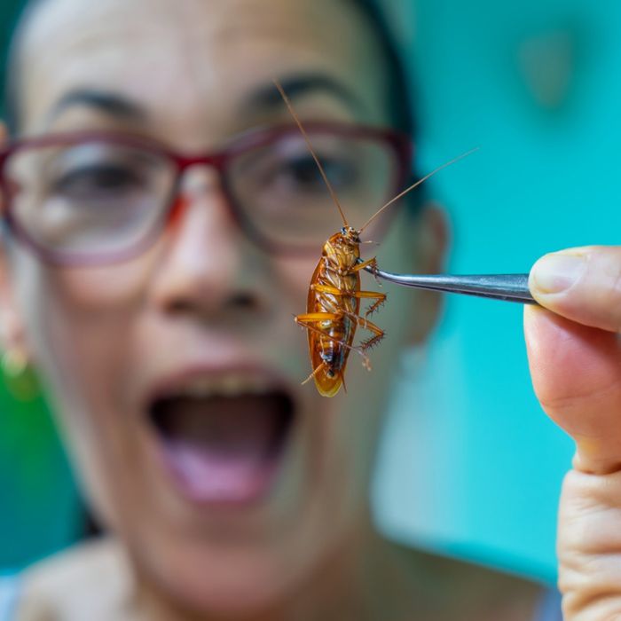 ТРАВЛЯ Тараканов Клопов БЛОХ