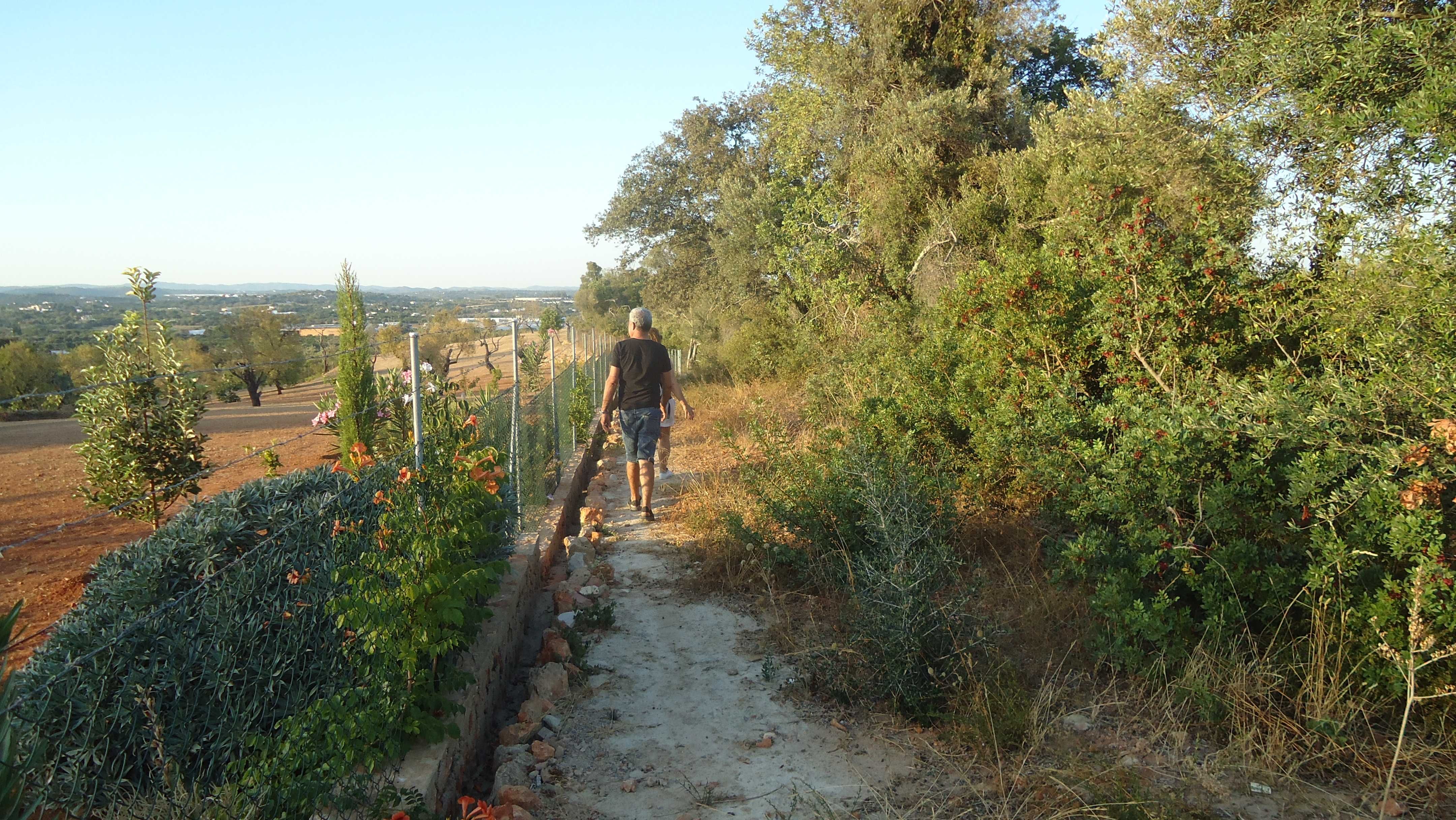 Algarve - Terreno próximo da praia Fuseta