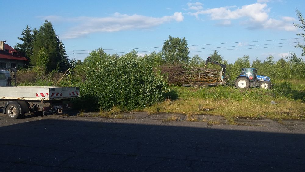 Wycinka Drzew Przycinanie Drzew Wycinanie Drzew Karczowanie Rębak