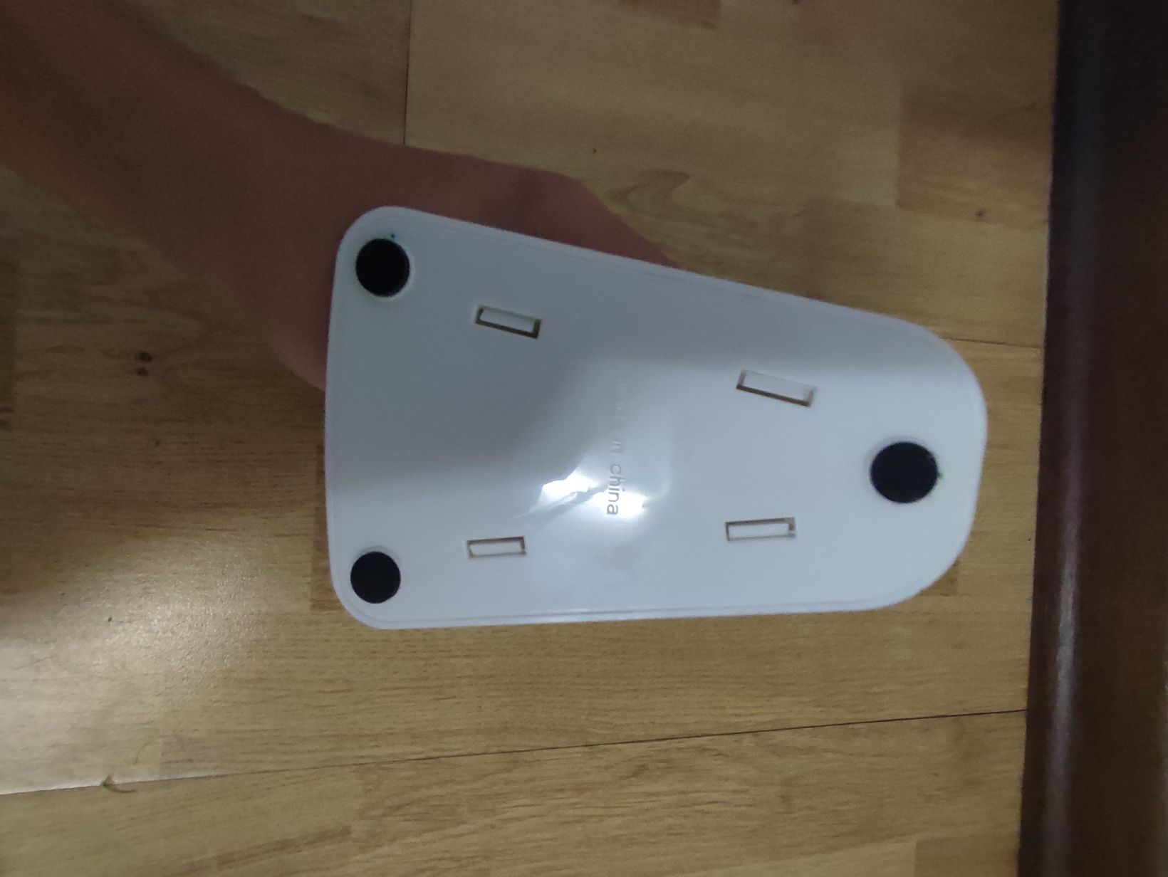 Bungee para rato