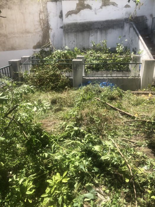 Limpeza e recolha de moveis, lixo, entulho madeiras