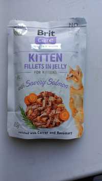 Brit Care Kitten Fillets in Jelly