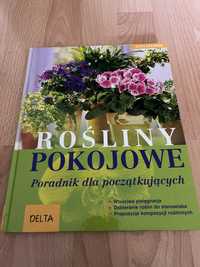 książka Rośliny pokojowe Poradnik dla początkujących