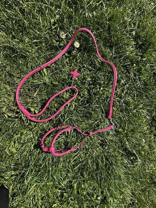 Прводок для кота