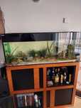 Aquario 1.20 com luz led