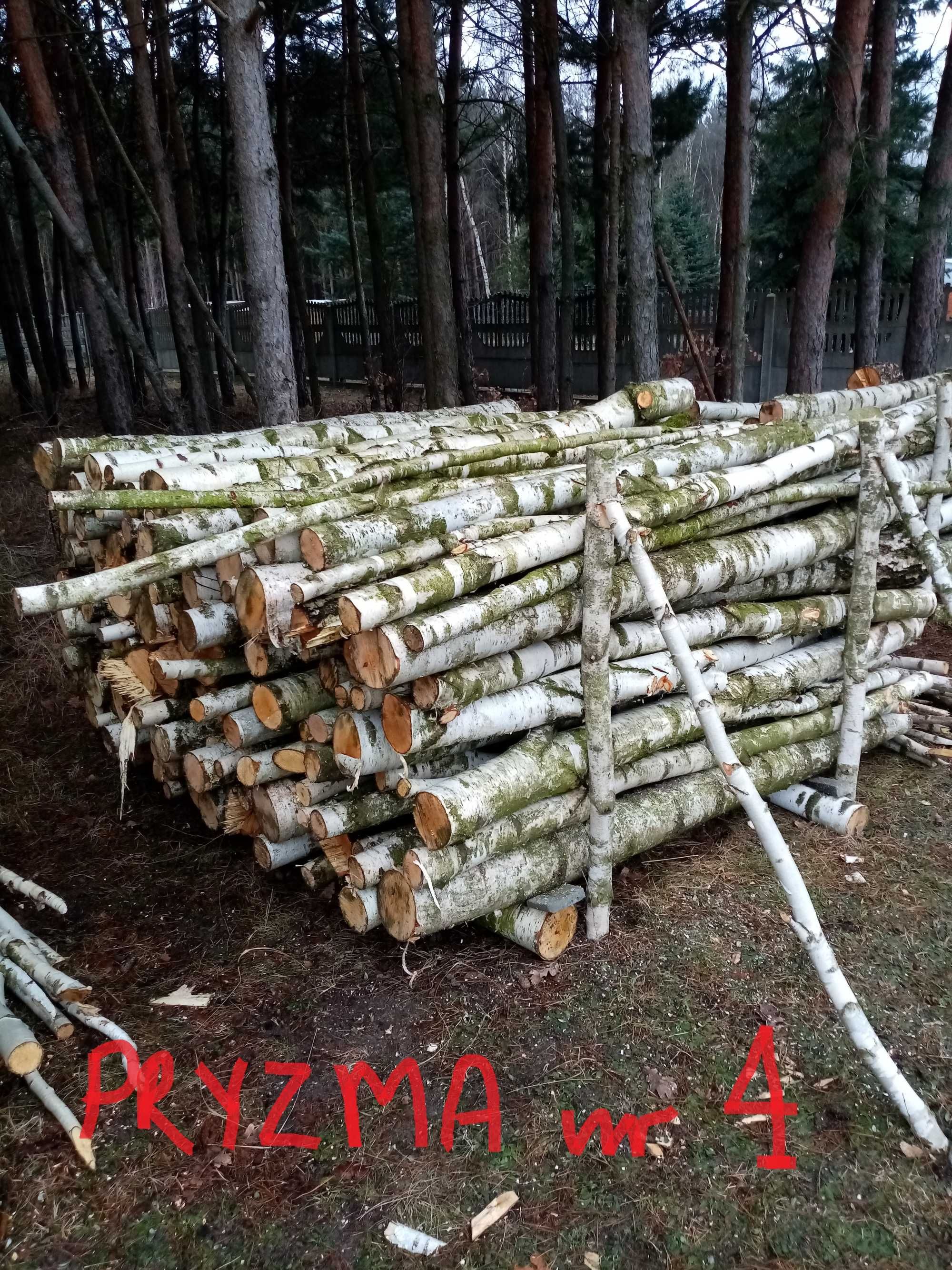 Drewno opałowe - brzoza