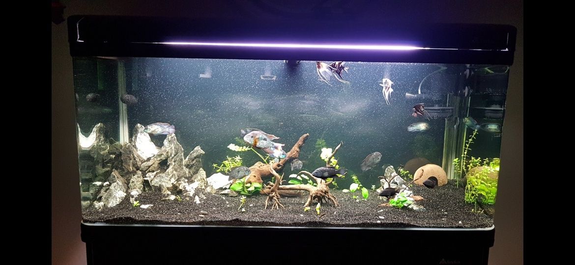 Akwarium 350l zaokrąglone rogi