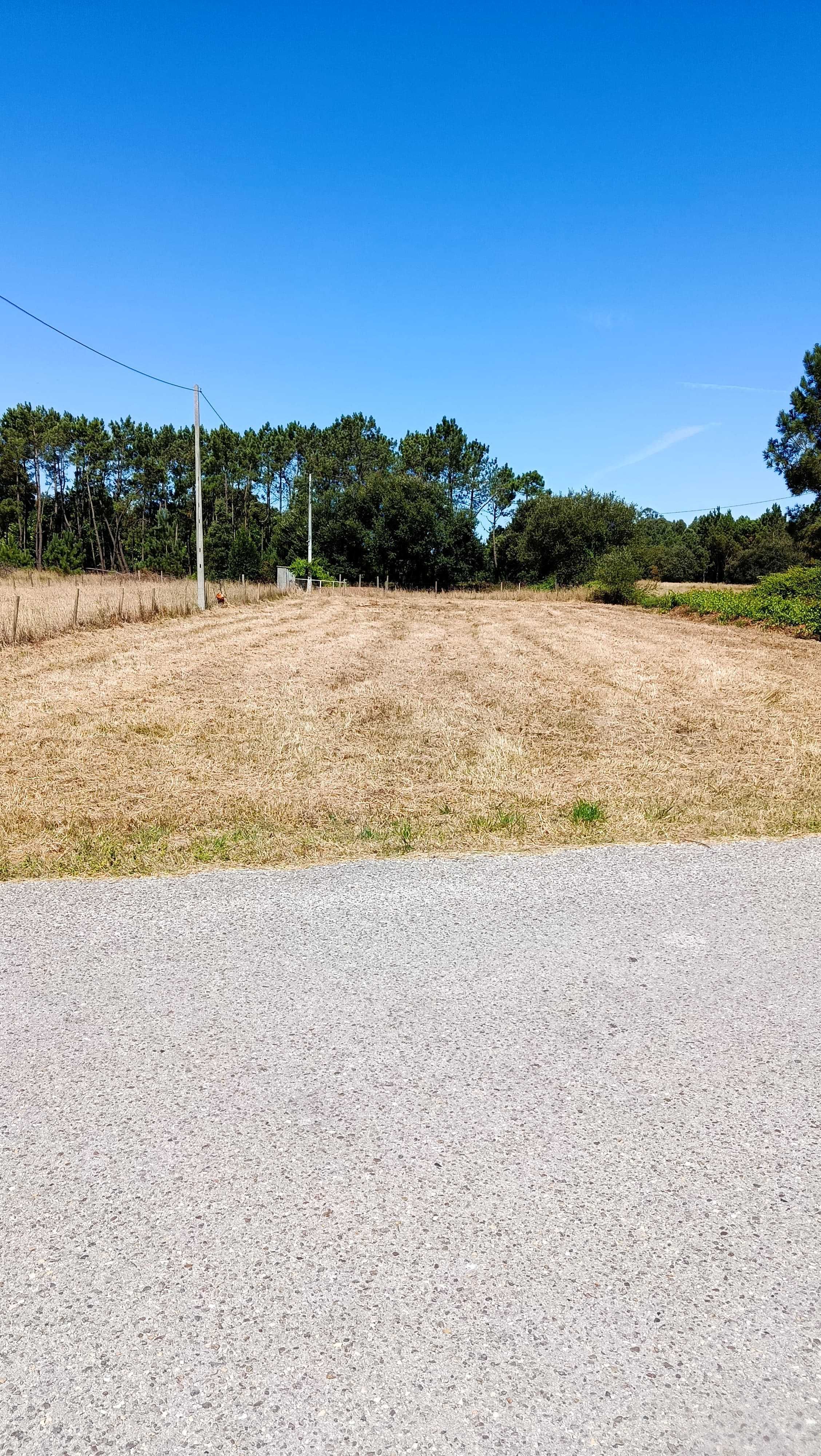 Terreno à venda na Rua Cavadas 1.049m² | Castanheiro - Figueira da Foz