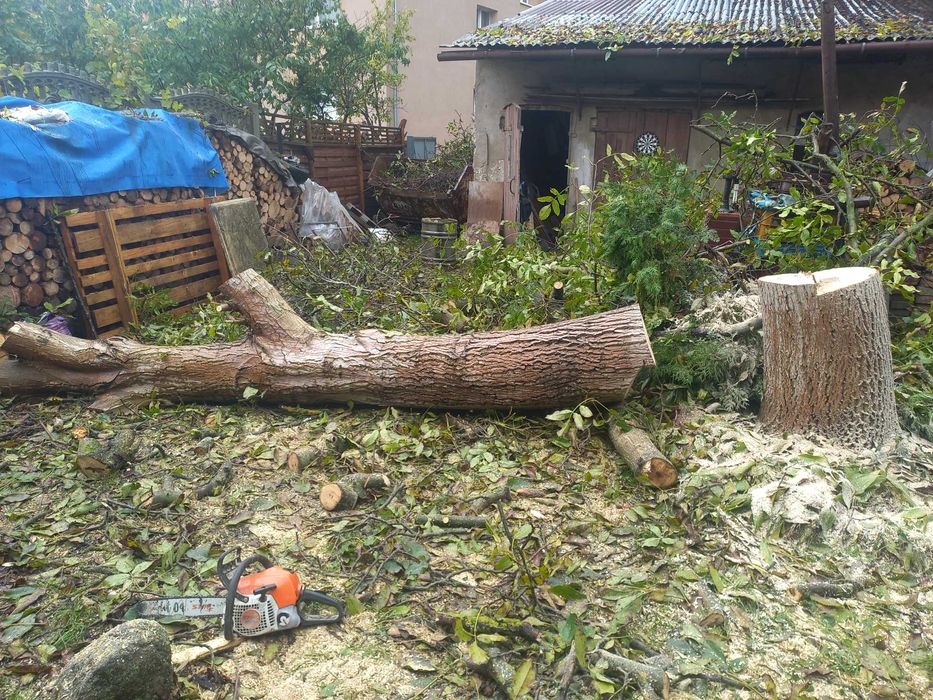 Wycinka drzew,przycinanie gałęzi itp.Prace na wysokości.