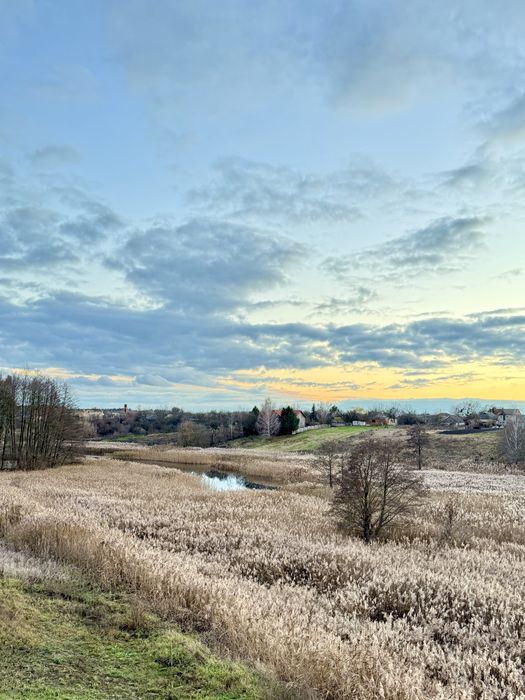 ‼️Дім, Якого Немає Аналогів. Ліс. Озеро. Ясногородка‼️