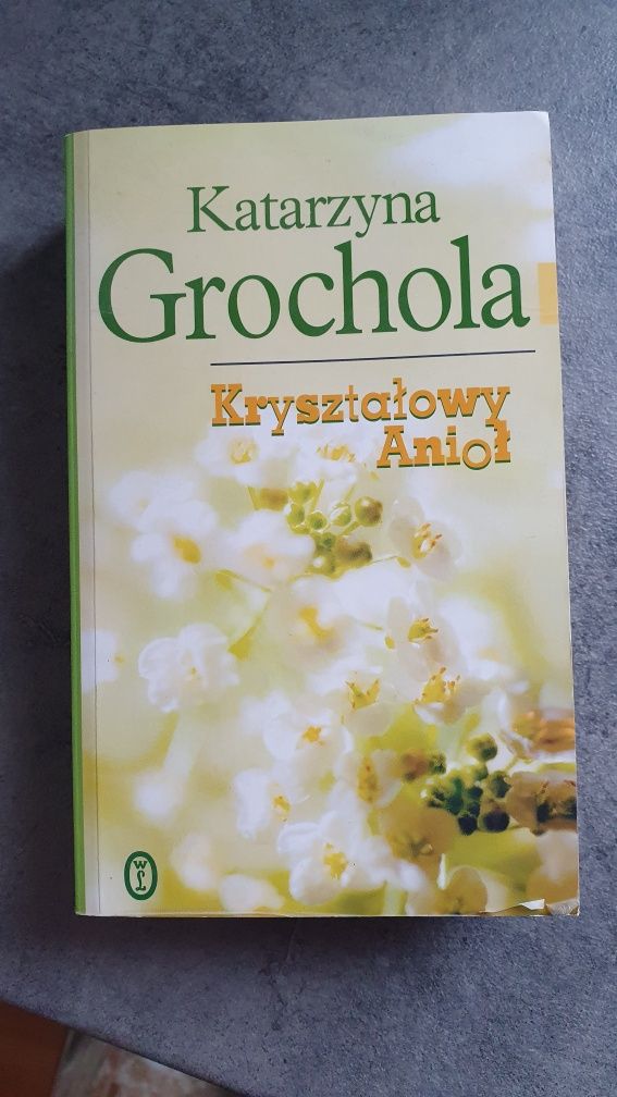 Książka Grochola Krysztalowy Anioł