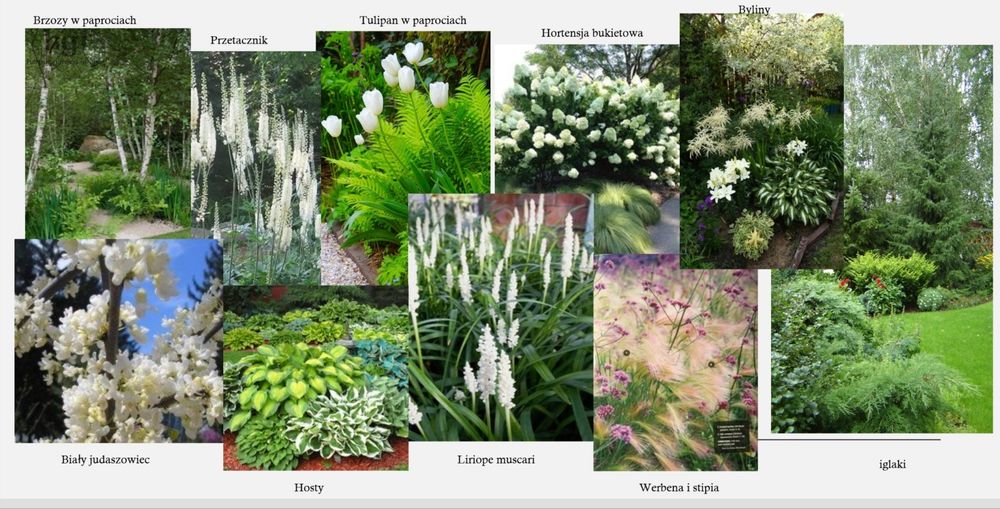 Projektowanie ogrodu