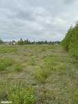 działka budowlana – 1250 m² – Wilcza Wólka, gm. Prażmów