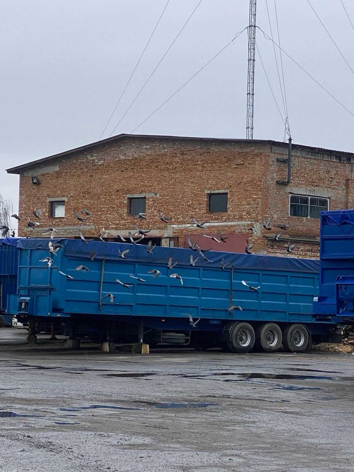 База 5000м і 1,6 га землі