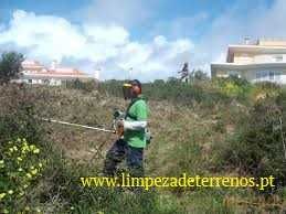 Limpeza de terrenos e poda de árvores