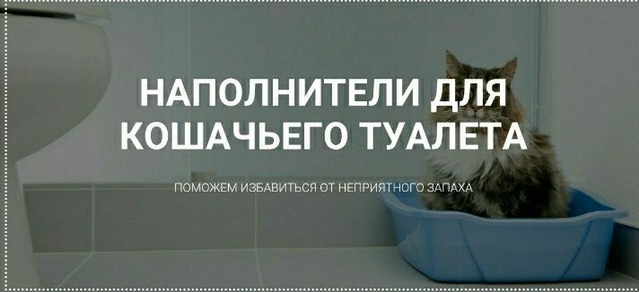 Древесный впитывающий наполнитель.Лоток и трава для кошки в Подарок