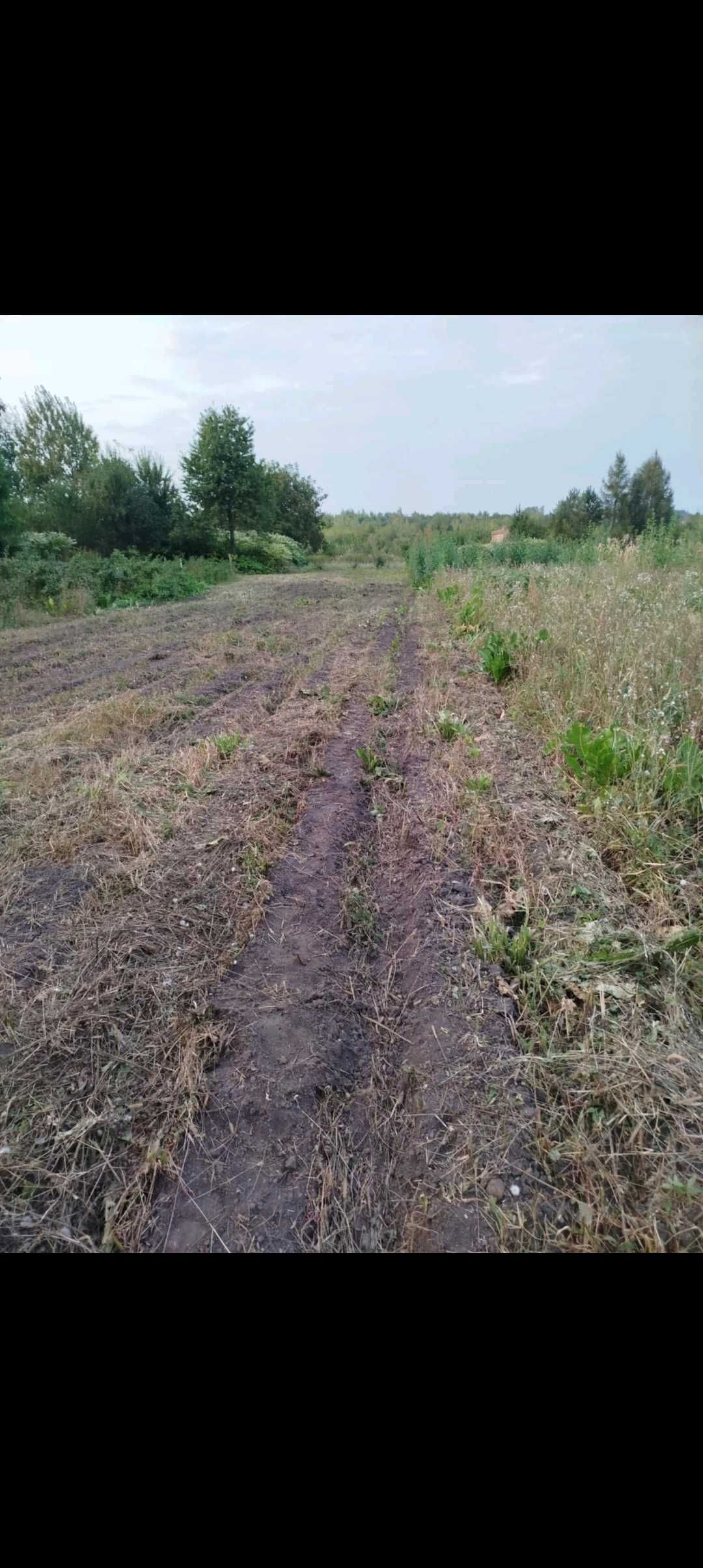 Мульчер Садовий , Косарка Садова