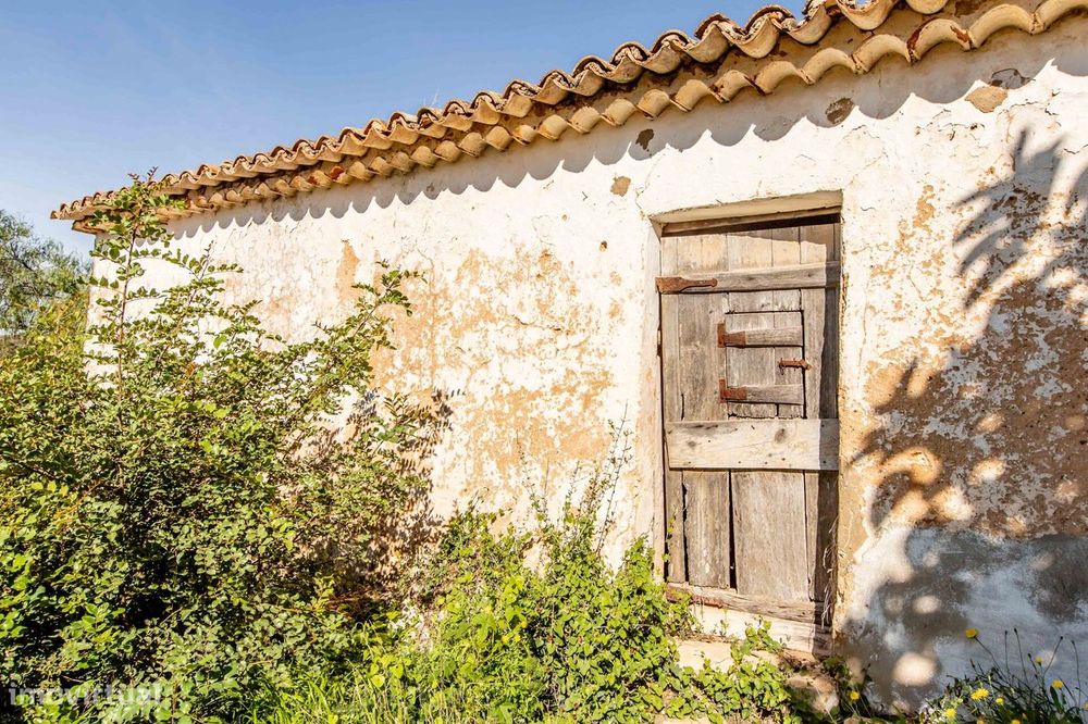 Ruina para reconstruir e terreno rustico de 6.680 m2 na zona de Padern