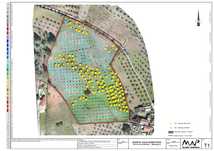 Quinta Agrícola – Vale Bom Pitez – Mirandela – Trás-os-Montes