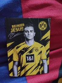 Karta Borussi Dortmund Reiniera Jesusa