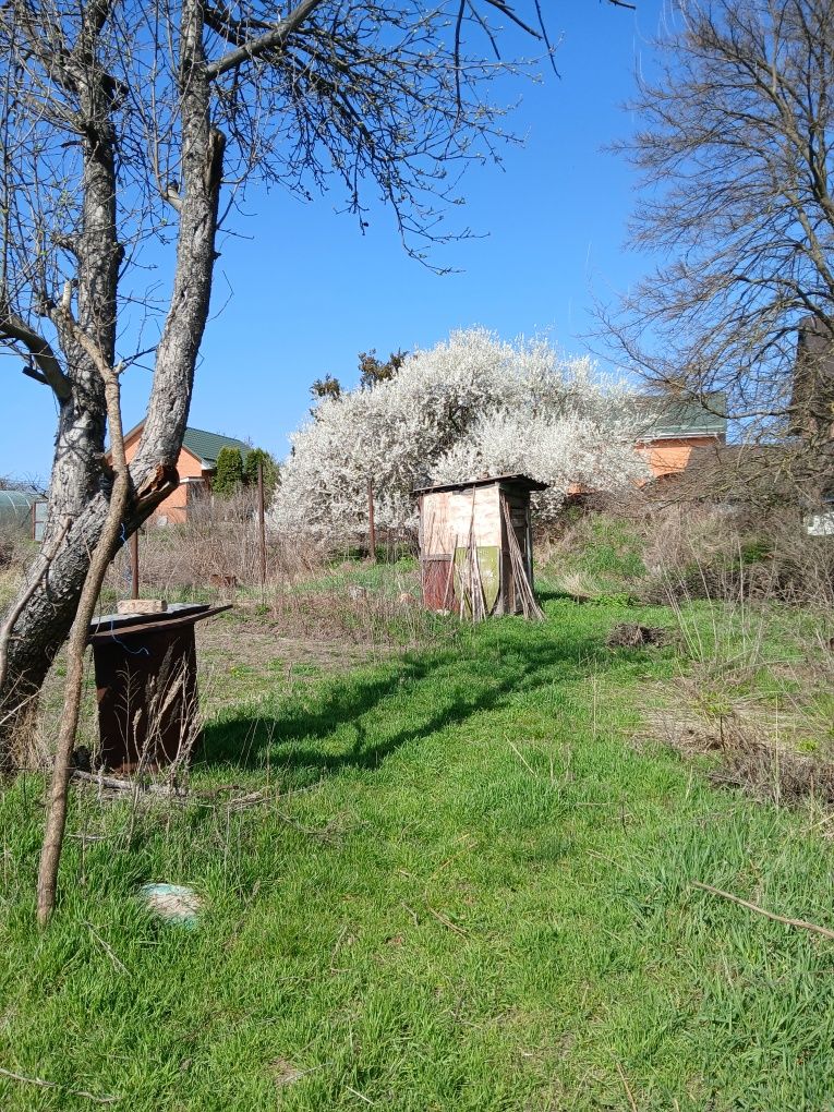 Продається будинок на земельній ділянці  42 сотки в с. Забір'я