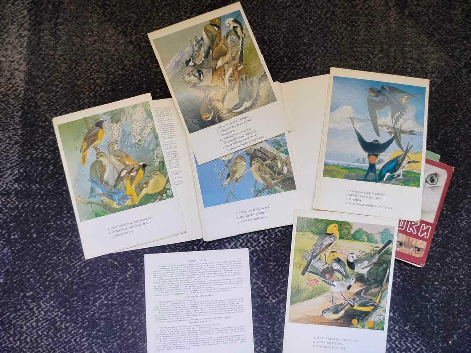 Наборы открыток Птицы, Кошки, Київський зоопарк 3 набора Одним лотом