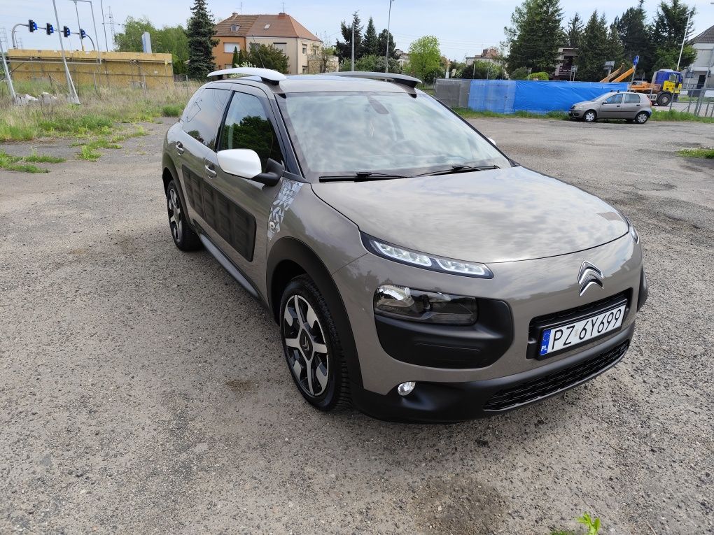 Citroen C4 Cactus wersja limitowana Rip Curl
