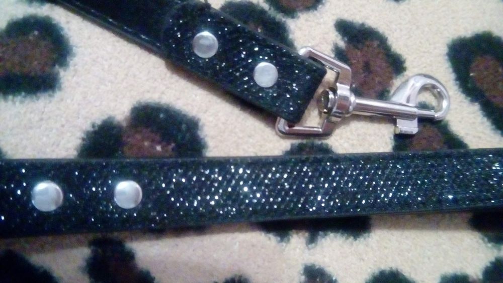 Поводок для животных